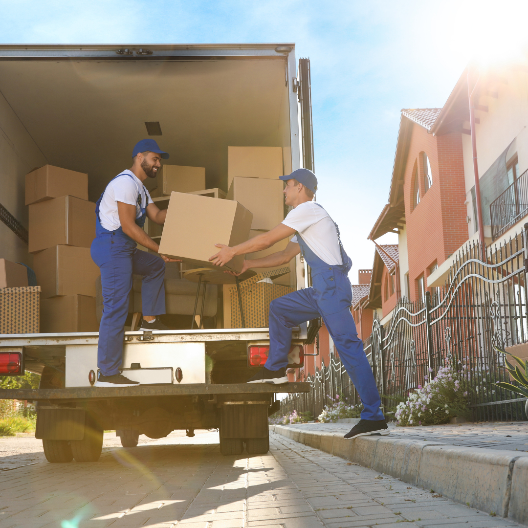 Why Box Trucks Are the Unsung Heroes of the Road